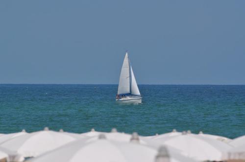 Hotel Amelia Fano
